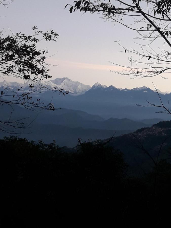 Hotel Himalaya Residency Kanchenjunga View دارجيلنغ المظهر الخارجي الصورة